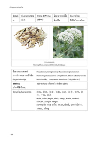 ข้อมูลสมุนไพรจีน
108
ลําดับที่ ชื่อภาษาจีนกลาง คําอ่าน (PINYIN) ชื่อภาษาจีนแต้จิ๋ว ชื่อภาษาไทย
91 前胡 Qiánhú จ่อยโอ้ว ไม่มีชื่อในภาษาไทย
www.zcyzcy.com
http://img.99.com.cn/uploads/141015/323_131552_1.jpg
ชื่อทางพฤกษศาสตร์
[สารประกอบทางเคมีในพืช
(Phytochemistry)]
Peucedanum praeruptorum [1.Peucedanum praeruptorum
Dunn2.Angelica decursiua (Miq.) Franch. Et Saw. [Porphyroscias
decursiua Miq.; Peucedanum decursiuum (Miq.) Maxim.]
สรรพคุณ
[ส่วนที่ใช้เป็นยา]
ละลายเสมหะ แก้อาการไอ ตัวร้อน [ราก]
สถานที่พบในประเทศจีน 湖北、甘肃、福建、安徽、江西、湖南、贵州、四
川、广西、江苏
Húběi, Gānsù, Fújiàn, ānhuī, Jiāngxī, Húnán, Guìzhōu,
Sìchuān, Guǎngxī, Jiāngsū
มณฑลหูเป่ย กานซู ฝูเจี้ยน อานฮุย, เจียงซี, หูหนานกุ้ยโจว ,
เสฉวน, เจียงซู
 