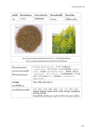 ข้อมูลสมุนไพรจีน
117
ลําดับที่ ชื่อภาษาจีนกลาง คําอ่าน (PINYIN) ชื่อภาษาจีนแต้จิ๋ว ชื่อภาษาไทย
100 山厚合 Shānhòuhé ซัวเก่าฮะ ไม่มีชื่อภาษาไทย
http://img.bimg.126.net/photo/uMcDn618JyCsUYbf5_43Sw==/2538059865000196990.jpg
http://www.szkp.org.cn/kepuleitai/upload_pic/2007/200711513385882440.jpg
ชื่อทางพฤกษศาสตร์
[สารประกอบทางเคมีใน
พืช (Phytochemistry)]
Solidago decurrens Lour. 叶含芦丁和槲皮甙
（quercitrin）；种子含皂甙；全草含有咖啡酸（caffeic
acid）、绿原酸（chlorogenic acid）、黄酮类、槲皮素
（quercetin）、芦丁（rutin）、山柰醇葡萄糖甙、矢车菊
双甙（为矢车菊素-3,5-二葡萄糖甙，cyanidin-3,5-
diglucoside）。
สรรพคุณ
[ส่วนที่ใช้เป็นยา]
ไล่ลม แก้พิษ แก้ปวด [ดอก]
สถานที่พบในประเทศจีน 江苏、浙江、江西、湖南、湖北、广西、广东、四川、贵州
Jiāngsū, Zhèjiāng, Jiāngxī, Húnán, Húběi, Guǎngxī, Guǎngdōng,
Sìchuān, Guìzhōu
เจียงซู เจื้อเจียง เจียงซี หูหนาน หูเป่ย กว่างซี กว่างตง เสฉวน กุ้ยโจว
 