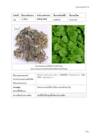ข้อมูลสมุนไพรจีน
121
ลําดับที่ ชื่อภาษาจีนกลาง คําอ่าน (PINYIN) ชื่อภาษาจีนแต้จิ๋ว ชื่อภาษาไทย
104 生薄荷 Shēng bòhé แซป่อห่อ สะระแหน่
http://img.zhzyw.org/2009082215535082272.jpg
http://www.hqcr.com/UploadFile/2009/8/20090813103643902.jpg
ชื่อทางพฤกษศาสตร์
[สารประกอบทางเคมีในพืช
(Phytochemistry)]
Mentha haplocalyx Briq [胡椒薄荷（Peppermint）及綠
薄荷（Spearmint）]
สรรพคุณ
[ส่วนที่ใช้เป็นยา]
รักษาอาการหน้ามืด วิงเวียน แน่นหน้าอก [ใบ]
สถานที่พบในประเทศจีน พบได้ทั่วไปในทุกพื้นที่ของประเทศจีน
 