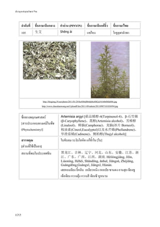 ข้อมูลสมุนไพรจีน
122
ลําดับที่ ชื่อภาษาจีนกลาง คําอ่าน (PINYIN) ชื่อภาษาจีนแต้จิ๋ว ชื่อภาษาไทย
105 生艾 Shēng ài แซไหง โกฐจุฬาลําพา
http://blogimg.39.net/photo/2011/01/29/be4f46d8b4dd4c60b2a541606fb0d486.jpg
http://www.chaoshanwang.net/UploadFiles/2011-09/admin/20110907181036994.jpg
ชื่อทางพฤกษศาสตร์
[สารประกอบทางเคมีในพืช
(Phytochemistry)]
Artemisia argyi [萜品烯醇-4(Terpinenol-4)、β-石竹烯
(β-Caryophyllene)、蒿醇(Artemisia alcohol)、芳樟醇
(Linalool)、樟脑(Camphorae)、龙脑(冰片 Borneol)、
桉油素(Cineol,Eucalyptol)以及水芹烯(Phellandrene)、
毕澄茄烯(Cadinene)、侧柏醇(Thujyl alcohol)]
สรรพคุณ
[ส่วนที่ใช้เป็นยา]
ใบขับลม ระงับโลหิต แก้ช้ําใน [ใบ]
สถานที่พบในประเทศจีน 黑龙江、吉林、辽宁、河北、山东、安徽、江苏、浙
江、广东、广西、江西、湖南. Hēilóngjiāng, Jílín,
Liáoníng, Héběi, Shāndōng, ānhuī, Jiāngsū, Zhèjiāng,
Guǎngdōng,Guǎngxī, Jiāngxī, Húnán.
เฮยหลงเจียง จี๋หลิน เหลียวหนิง เหอเป่ย ซานตง อานฮุย เจียงซู
เจ้อเจียง กวางตุ้ง กวางสี เจียงซี หูหนาน
 