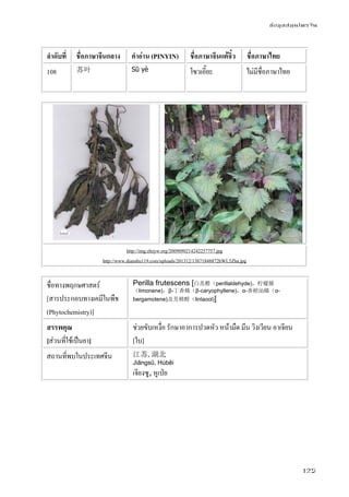 ข้อมูลสมุนไพรจีน
125
ลําดับที่ ชื่อภาษาจีนกลาง คําอ่าน (PINYIN) ชื่อภาษาจีนแต้จิ๋ว ชื่อภาษาไทย
108 苏叶 Sū yè โซวเอี๊ยะ ไม่มีชื่อภาษาไทย
http://img.zhzyw.org/2009090214242257757.jpg
http://www.dianshu119.com/uploads/201312/13871848872hWL5Zha.jpg
ชื่อทางพฤกษศาสตร์
[สารประกอบทางเคมีในพืช
(Phytochemistry)]
Perilla frutescens [白苏醛（perillaldehyde)，柠檬烯
（limonene)，β-丁香烯（β-caryophyllene)，α-香柑汕烯（α-
bergamotene)及芳樟醇（linlaool)]
สรรพคุณ
[ส่วนที่ใช้เป็นยา]
ช่วยขับเหงื่อ รักษาอาการปวดหัว หน้ามืด มึน วิงเวียน อาเจียน
[ใบ]
สถานที่พบในประเทศจีน 江苏,湖北
Jiāngsū, Húběi
เจียงซู, หูเป่ย
 