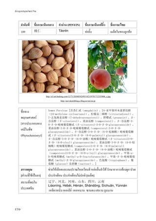 ข้อมูลสมุนไพรจีน
126
ลําดับที่ ชื่อภาษาจีนกลาง คําอ่าน (PINYIN) ชื่อภาษาจีนแต้จิ๋ว ชื่อภาษาไทย
109 桃仁 Táorén ท่อยิ๊ง เมล็ดในของลูกท้อ
http://a3.att.hudong.com/12/71/20300542493142139781712355806_s.jpg
http://aoi-sketchblog.c.blog.so-net.ne.jp
ชื่อทาง
พฤกษศาสตร์
[สารประกอบทาง
เคมีในพืช
(Phytochemistry)]
Semen Persicae [苦杏仁甙（amygdalin），24-亚甲基环木菠萝烷醇
（24-methylene cycloartanol），柠檬甾二烯醇（citrostadienol），
7-去氢燕麦甾醇（7-dehydroavenasterol），野樱甙（prunasin），β-
谷甾醇（β-sitosterol），菜油甾醇（campesterol），β-谷甾醇-3-
O-β-D-吡喃葡萄糖甙（β-sitosterol-3-O-β-D-glucopyranoside），
菜油甾醇-3-O-β-D-吡喃葡萄糖甙（campesterol-3-O-β-D-
glucopyranoside），β-谷甾醇-3-O-β-D-（6-O-棕榈酰）吡喃葡萄糖
甙（β-sitosterol3-O-β-D-（6-O-palmityl）glucopyranoside），
β-谷甾醇-3-O-β-D-（6-O-油酰）吡喃葡萄糖甙（β-sitosterol3-O-
β-D-（6-0-oleyl）glucopyranoside），菜油甾醇-3-O-β-D-（6-O-棕
榈酰）吡喃葡萄糖甙（campesterol3-O-β-D-（6-O-palmityl）
glucopyranoside），菜油甾醇-3-O-β-D-（6-O-油酰）吡喃葡萄糖甙
（campesterol3-O-β-D-（6-O-o-leyl）glucopyranoside），甲基-a-
D-呋喃果糖甙（methyl-a-D-fructofuranoside），甲基-β-D-吡喃葡萄
糖甙（methyl-β-D-glucopyranoside），色氨酸（tryptophane），葡
萄糖（glucose）及蔗糖（sucrose）。]
สรรพคุณ
[ส่วนที่ใช้เป็นยา]
ช่วยให้เลือดและลมปราณไหลเวียนดี หล่อลื่นลําไส้ รักษาอาการท้องผูก ปวด
ประจําเดือน ประจําเดือนไม่ปกติ [เมล็ด]
สถานที่พบใน
ประเทศจีน
辽宁、河北、河南、山东、四川、云南
Liáoníng, Héběi, Hénán, Shāndōng, Sìchuān, Yúnnán
เหลียวหนิง เหอเป่ย์ เหอหนาน ซานตง เสฉวน ยูนนาน
 