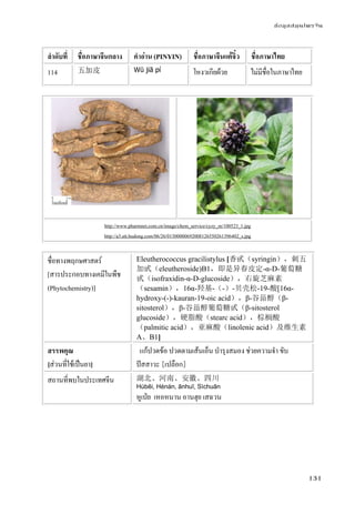 ข้อมูลสมุนไพรจีน
131
ลําดับที่ ชื่อภาษาจีนกลาง คําอ่าน (PINYIN) ชื่อภาษาจีนแต้จิ๋ว ชื่อภาษาไทย
114 五加皮 Wǔ jiā pí โหงวเกียผ้วย ไม่มีชื่อในภาษาไทย
http://www.pharmnet.com.cn/image/chem_service/cyzy_m/100523_1.jpg
http://a3.att.hudong.com/06/26/01300000692008126550261396402_s.jpg
ชื่อทางพฤกษศาสตร์
[สารประกอบทางเคมีในพืช
(Phytochemistry)]
Eleutherococcus gracilistylus [香甙（syringin），刺五
加甙（eleutheroside)B1，即是异春皮定-α-D-葡萄糖
甙（isofraxidin-α-D-glucoside），右旋芝麻素
（sesamin），16α-羟基-（-）-贝壳松-19-酸[16α-
hydroxy-(-)-kauran-19-oic acid），β-谷甾醇（β-
sitosterol），β-谷甾醇葡萄糖甙（β-sitosterol
glucoside），硬脂酸（stearc acid），棕榈酸
（palmitic acid），亚麻酸（linolenic acid）及维生素
A、B1]
สรรพคุณ
[ส่วนที่ใช้เป็นยา]
แก้ปวดข้อ ปวดตามเส้นเอ็น บํารุงสมอง ช่วยความจํา ขับ
ปัสสาวะ [เปลือก]
สถานที่พบในประเทศจีน 湖北、河南、安徽、四川
Húběi, Hénán, ānhuī, Sìchuān
หูเป่ย เหอหนาน อานฮุย เสฉวน
 