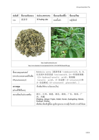 ข้อมูลสมุนไพรจีน
133
ลําดับที่ ชื่อภาษาจีนกลาง คําอ่าน (PINYIN) ชื่อภาษาจีนแต้จิ๋ว ชื่อภาษาไทย
116 溪黄草 Xī huáng cǎo คอยอึ้งเช่า หญ้าดีหมี
http://img04.taobaocdn.com/
http://www.dianshu119.com/uploads/201301/1359120070G5kmuOWs.jpg
ชื่อทางพฤกษศาสตร์
[สารประกอบทางเคมีในพืช
(Phytochemistry)]
Rabdosia serra [溪黄草素（rabdoserrin)A、B、D，
以及尾叶香茶菜素（excisanin)A，2α-羟基熊果酸
（2α-hydroxyl-ursolic acid)，熊果酸
（ursolic acid)，β-谷甾醇（β-sitosterol)和
β-谷甾醇甙（β-sitosterol glucoside)。]
สรรพคุณ
[ส่วนที่ใช้เป็นยา]
ล้างพิษ ดีซ่าน ระงับบวม [ใบ]
สถานที่พบในประเทศจีน 浙江、江西、福建、湖北、湖南、广东、海南、广
西、西藏
Zhèjiāng, Jiāngxī, Fújiàn, Húběi, Húnán, Guǎngdōng, Hǎinán,
Guǎngxī, Xīzàng
เจ้อเจียง เจียงซี ฝูเจี้ยน หูเป่ย หูหนาน กวางตุ้ง ไหหลํา กวางสี ทิเบต
 