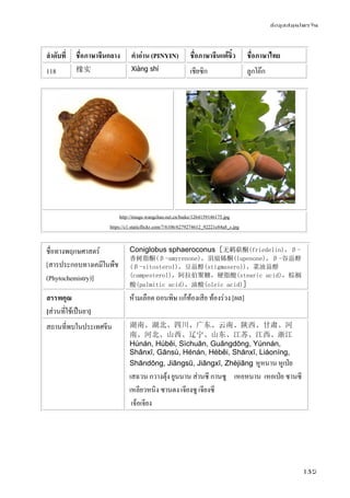 ข้อมูลสมุนไพรจีน
135
ลําดับที่ ชื่อภาษาจีนกลาง คําอ่าน (PINYIN) ชื่อภาษาจีนแต้จิ๋ว ชื่อภาษาไทย
118 橡实 Xiàng shí เชียซิก ลูกโอ๊ก
http://image.wangchao.net.cn/baike/1264159146175.jpg
https://c1.staticflickr.com/7/6106/6279274612_92221e84a8_z.jpg
ชื่อทางพฤกษศาสตร์
[สารประกอบทางเคมีในพืช
(Phytochemistry)]
Coniglobus sphaeroconus [无羁萜酮(friedelin)，β-
香树脂酮(β-amyrenone)，羽扇烯酮(lupenone)，β-谷甾醇
(β-sitosterol)，豆甾醇(stigmaserol)，菜油甾醇
(campesterol)，阿拉伯聚糖，硬脂酸(stearic acid)，棕榈
酸(palmitic acid)，油酸(oleic acid)]
สรรพคุณ
[ส่วนที่ใช้เป็นยา]
ห้ามเลือด ถอนพิษ แก้ท้องเสีย ท้องร่วง [ผล]
สถานที่พบในประเทศจีน 湖南、湖北、四川、广东、云南、陕西、甘肃、河
南、河北、山西、辽宁、山东、江苏、江西、浙江
Húnán, Húběi, Sìchuān, Guǎngdōng, Yúnnán,
Shǎnxī, Gānsù, Hénán, Héběi, Shānxī, Liáoníng,
Shāndōng, Jiāngsū, Jiāngxī, Zhèjiāng หูหนาน หูเป่ย
เสฉวน กวางตุ้ง ยูนนาน ส่านซี กานซู เหอหนาน เหอเป่ย ซานซี
เหลียวหนิง ซานตง เจียงซู เจียงซี
เจ้อเจียง
 