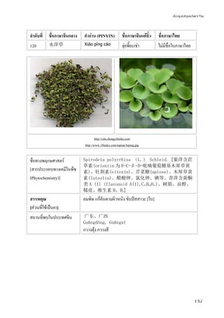 ข้อมูลสมุนไพรจีน
137
ลําดับที่ ชื่อภาษาจีนกลาง คําอ่าน (PINYIN) ชื่อภาษาจีนแต้จิ๋ว ชื่อภาษาไทย
120 水萍草 Xiǎo píng cǎo จุ่ยพี๊ยะเช่า ไม่มีชื่อในภาษาไทย
http://cdn.zhongyibaike.com
http://www.18ladys.com/tupian/fuping.jpg
ชื่อทางพฤกษศาสตร์
[สารประกอบทางเคมีในพืช
(Phytochemistry)]
Spirodela polyrrhiza （L.） Schleid. [紫萍含荭
草素(orientin 为 8-C-β-D-吡喃葡萄糖基木犀草黄
素)、牡荆素(vitexin)、芹菜糖(apiose)、木犀草黄
素(luteolin)。醋酸钾、氯化钾、碘等。青萍含黄酮
类 A (1) (flavonoid A(1),C21H20O11)、树脂、甾醇、
鞣质、维生素 B、B2]
สรรพคุณ
[ส่วนที่ใช้เป็นยา]
ลมพิษ แก้คันตามผิวหนัง ขับปัสสาวะ [ใบ]
สถานที่พบในประเทศจีน 广东、广西
Guǎngdōng, Guǎngxī
กวางตุ้ง กวางสี
 