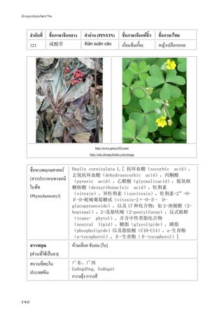ข้อมูลสมุนไพรจีน
140
ลําดับที่ ชื่อภาษาจีนกลาง คําอ่าน (PINYIN) ชื่อภาษาจีนแต้จิ๋ว ชื่อภาษาไทย
123 咸酸草 Xián suān cǎo เกี่ยมซึมเกี๊ยะ หญ้าเปลือกหอย
http://www.gmzy365.com/
http://cdn.zhongyibaike.com/image
ชื่อทางพฤกษศาสตร์
[สารประกอบทางเคมี
ในพืช
(Phytochemistry)]
Oxalis corniculata L.[ 抗坏血酸（ascorbic acid），
去氢抗坏血酸（dehydroascorbic acid），丙酮酸
（pyruvic acid），乙醛酸（glyoxalicacid），脱氧核
糖核酸（deoxyribonucleic acid），牡荆素
（vitexin），异牡荆素（isovitexin），牡荆素-2”-O-
β-D-吡喃葡萄糖甙（vitexin-2〃-O-β- D-
glucopyranoside），以及 17 种化合物：如 2-庚烯醛（2-
heptenal），2-戊基呋喃（2-pentylfuran），反式植醇
（trans- phytol），并含中性类脂化合物
（neutral lipid），糖脂（glycolipide），磷脂
（phospholipide）以及脂肪酸（C10-C14），a-生育酚
（a-tocopherol），β-生育酚（β-tocopherol）]
สรรพคุณ
[ส่วนที่ใช้เป็นยา]
ห้ามเลือด ขับลม [ใบ]
สถานที่พบใน
ประเทศจีน
广东、广西
Guǎngdōng, Guǎngxī
กวางตุ้ง กวางสี
 