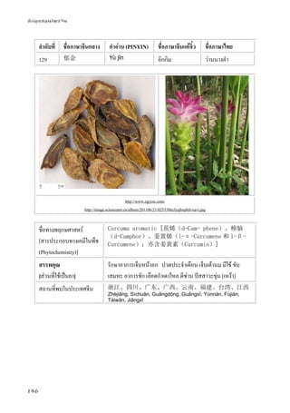ข้อมูลสมุนไพรจีน
146
ลําดับที่ ชื่อภาษาจีนกลาง คําอ่าน (PINYIN) ชื่อภาษาจีนแต้จิ๋ว ชื่อภาษาไทย
129 郁金 Yù jīn อิกกิม ว่านนางคํา
http://www.zgycsc.com/
http://image.sciencenet.cn/album/201106/21/025338hcfyajbxphdvxavi.jpg
ชื่อทางพฤกษศาสตร์
[สารประกอบทางเคมีในพืช
(Phytochemistry)]
Curcuma aromatic [莰烯（d-Cam- phene）、樟脑
（d-Camphor）、姜黄烯（l-α-Curcumene 和 l-β-
Curcumene）；亦含姜黄素（Curcumin）]
สรรพคุณ
[ส่วนที่ใช้เป็นยา]
รักษาอาการเจ็บหน้าอก ปวดประจําเดือน เจ็บเต้านม มีไข้ ขับ
เสมหะ อาการชัก เลือดกําเดาไหล ดีซ่าน ปัสสาวะขุ่น [เหง้า]
สถานที่พบในประเทศจีน 浙江、四川、广东、广西、云南、福建、台湾、江西
Zhèjiāng, Sìchuān, Guǎngdōng, Guǎngxī, Yúnnán, Fújiàn,
Táiwān, Jiāngxī
 