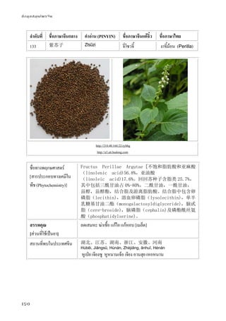 ข้อมูลสมุนไพรจีน
150
ลําดับที่ ชื่อภาษาจีนกลาง คําอ่าน (PINYIN) ชื่อภาษาจีนแต้จิ๋ว ชื่อภาษาไทย
133 紫苏子 Zǐsūzi จี่โซวจี้ งาขี้ม้อน (Perilla)
http://210.40.160.22/zybbg
http://a3.att.hudong.com
ชื่อทางพฤกษศาสตร์
[สารประกอบทางเคมีใน
พืช (Phytochemistry)]
Fructus Perillae Argutae [不饱和脂肪酸和亚麻酸
（linolenic acid)56.8%，亚油酸
（linoleic acid)17.6%。回回苏种子含脂类 25.7%，
其中包括三酰甘油占 0%-80%，二酰甘油，一酰甘油，
甾醇，甾醇酯，结合脂及游离脂肪酸。结合脂中包含卵
磷脂（lecithin)，溶血卵磷脂（lysolecithin)，单半
乳糖基甘油二酯（monogalactosyldiglyceride)，脑甙
脂（cere-broside)，脑磷脂（cephalin)及磷酯酰丝氨
酸（phosphatidylserine)。
สรรพคุณ
[ส่วนที่ใช้เป็นยา]
ลดเสมหะ ฆ่าเชื้อ แก้ไอ แก้หอบ [เมล็ด]
สถานที่พบในประเทศจีน 湖北、江苏、湖南、浙江、安徽、河南
Húběi, Jiāngsū, Húnán, Zhèjiāng, ānhuī, Hénán
หูเป่ย เจียงซู หูหนานเจ้อ เจียง อานฮุย เหอหนาน
 
