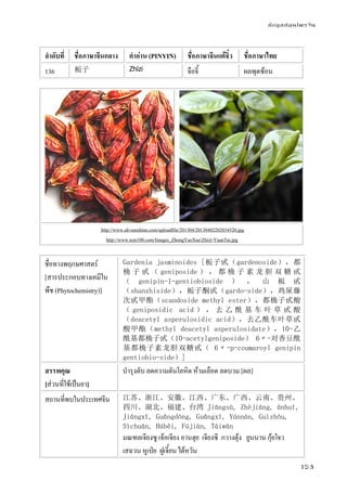 ข้อมูลสมุนไพรจีน
153
ลําดับที่ ชื่อภาษาจีนกลาง คําอ่าน (PINYIN) ชื่อภาษาจีนแต้จิ๋ว ชื่อภาษาไทย
136 栀子 Zhīzi จือจี้ ผลพุดซ้อน
http://www.ah-sunshine.com/uploadfile/201304/20130402202034520.jpg
http://www.tcm100.com/Images_ZhongYaoXue/Zhizi-YuanTai.jpg
ชื่อทางพฤกษศาสตร์
[สารประกอบทางเคมีใน
พืช (Phytochemistry)]
Gardenia jasminoides [栀子甙（gardenoside），都
桷 子 甙 （ geniposide ） ， 都 桷 子 素 龙 胆 双 糖 甙
（ genipin-1-gentiobioside ） ， 山 栀 甙
（shanzhiside），栀子酮甙（gardo-side），鸡屎藤
次甙甲酯（scandoside methyl ester），都桷子甙酸
（ geniposidic acid ） ， 去 乙 酰 基 车 叶 草 甙 酸
（deacetyl asperulosidic acid），去乙酰车叶草甙
酸甲酯（methyl deacetyl asperulosidate），10-乙
酰基都桷子甙（10-acetylgeniposide） 6〃-对香豆酰
基都桷子素龙胆双糖甙（ 6〃-p-coumaroyl genipin
gentiobio-side）]
สรรพคุณ
[ส่วนที่ใช้เป็นยา]
บํารุงตับ ลดความดันโลหิต ห้ามเลือด ลดบวม [ผล]
สถานที่พบในประเทศจีน 江苏、浙江、安徽、江西、广东、广西、云南、贵州、
四川、湖北、福建、台湾 Jiāngsū, Zhèjiāng, ānhuī,
Jiāngxī, Guǎngdōng, Guǎngxī, Yúnnán, Guìzhōu,
Sìchuān, Húběi, Fújiàn, Táiwān
มณฑลเจียงซู เจ้อเจียง อานฮุย เจียงซี กวางตุ้ง ยูนนาน กุ้ยโจว
เสฉวน หูเป่ย ฝูเจี้ยน ไต้หวัน
 