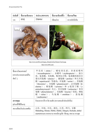 ข้อมูลสมุนไพรจีน
160
ลําดับที่ ชื่อภาษาจีนกลาง คําอ่าน (PINYIN) ชื่อภาษาจีนแต้จิ๋ว ชื่อภาษาไทย
141 蝉蜕 Chántuì เซียมต่วย คราบจักจั่นจีน
http://www.tcm100.com/Images_ZhongYaoXue/Chantui-YaoCai.jpg
http://www.69fw.com/
ชื่อทางวิทยาศาสตร์
[สารประกอบทางเคมีใน
สัตว์ ]
甲 壳 质 （ chitin ） ， 蝶 啶 类 色 素 ； 异 黄 质 喋 呤
（isoxanthopterin），赤蝶呤（erythropterin），蛋白
质，氨基酸，有机酸，酚类化合物。氨基酸的相对含
量以丙氨酸（alanine），脯氨酸（proline）和天冬氨
酸（asparticacid）等最高；丝氨酸（serine），苏氨酸
（threonine），谷氨酸（glutamicacid），β 丙氨酸（β-
alanine ）， 酪 氨 酸 （ tyrosine） 和 γ- 氨 基 丁 酸 （ γ-
aminobutyricacid）次之；异亮氨酸（isoleucine）苯丙
氨酸（phenylalanine），亮氨酸（leucine）较低；缬氨
酸 （ valine ） ， 鸟 氨 酸 （ ornithine ） ， 蛋 氨 酸
（methionine）
สรรพคุณ
[ส่วนที่ใช้เป็นยา]
รักษาอาการไอ หวัด ลมชัก [คราบของตัวอ่อนจักจั่น]
สถานที่พบในประเทศจีน 山东、河南、河北、湖北、江苏、四川，安徽
Shāndōng, Hénán, Héběi, Húběi, Jiāngsū, Sìchuān, ānhuī
มณฑลซานตง เหอหนาน เหอเป่ย หูเป่ย เจียงซู เสฉวน อานฮุย
 