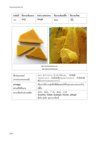 ข้อมูลสมุนไพรจีน
166
ลําดับที่ ชื่อภาษาจีนกลาง คําอ่าน (PINYIN) ชื่อภาษาจีนแต้จิ๋ว ชื่อภาษาไทย
147 蜂蜡 Fēnglà พังละ ขี้ผึ้ง
http://cdn.zhongyibaike.com/
http://upload.wikimedia.org/
ชื่อวิทยาศาสตร์
[สารประกอบทางเคมี]
Apis Mellifera [C15H31COOC30H61。 棕榈酸
(palmitate)、棕榈油酸(palmitoleate)、羟基棕榈
酸(hydroxypalmitate)]
สรรพคุณ
[ส่วนที่ใช้เป็นยา]
เป็นสารให้ความชุ่มชื้นที่ดีเยี่ยมช่วยให้ผิวนุ่ม ลดการหยาบกร้าน
[ขี้ผึ้ง]
สถานที่พบในประเทศจีน 贵州、湖北、广西、湖南、江西
Guìzhōu, Húběi, Guǎngxī, Húnán, Jiāngxī
กุ้ยโจว หูเป่ย หูหนาน เจียงซี
 