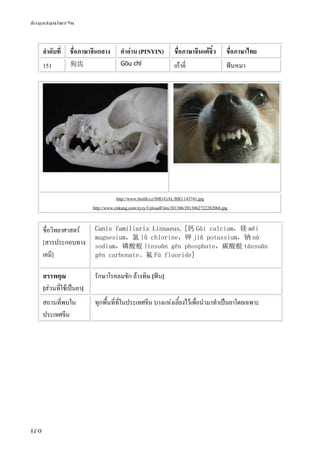 ข้อมูลสมุนไพรจีน
170
ลําดับที่ ชื่อภาษาจีนกลาง คําอ่าน (PINYIN) ชื่อภาษาจีนแต้จิ๋ว ชื่อภาษาไทย
151 狗齿 Gǒu chǐ เก้าคี่ ฟันหมา
http://www.biolib.cz/IMG/GAL/BIG/143741.jpg
http://www.cnkang.com/zyzy/UploadFiles/201306/2013062722282068.jpg
ชื่อวิทยาศาสตร์
[สารประกอบทาง
เคมี]
Canis familiaris Linnaeus. [钙 Gài calcium，镁 měi
magnesium，氯 lǜ chlorine，钾 jiǎ potassium，钠 nà
sodium，磷酸根 línsuān gēn phosphate，碳酸根 tànsuān
gēn carbonate。氟 Fú fluoride]
สรรพคุณ
[ส่วนที่ใช้เป็นยา]
รักษาโรคลมชัก ล้างพิษ [ฟัน]
สถานที่พบใน
ประเทศจีน
ทุกพื้นที่ที่ในประเทศจีน บางแห่งเลี้ยงไว้เพื่อนํามาทําเป็นยาโดยเฉพาะ
 