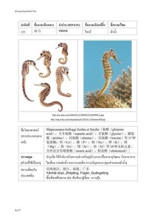 ข้อมูลสมุนไพรจีน
172
ลําดับที่ ชื่อภาษาจีนกลาง คําอ่าน (PINYIN) ชื่อภาษาจีนแต้จิ๋ว ชื่อภาษาไทย
153 海马 Hǎimǎ ไหเบ้ ม้าน้ํา
http://pic.nipic.com/2008-06-23/2008623234644960_2.jpg
http://img.ivsky.com/img/tupian/pic/201011/16/haima-009.jpg
ชื่อวิทยาศาสตร์
[สารประกอบทาง
เคมี]
Hippocampus kelloggi Jordau et Snyder [氨酸（glutamic
acid），天冬氨酸（aspartic acid），甘氨酸（glycine），脯氨
酸（proline），丙氨酸（alanine），亮氨酸（leucine）等 17 种
氨基酸；钙（Ca），磷（P），钠（Na），钾（K），镁
（Mg），铁（Fe），锶（Sr），硅（Si）等 19 种无机元素。
另外还含有硬脂酸（stearic acid），胆甾醇（cholesterol）]
สรรพคุณ
[ส่วนที่ใช้เป็นยา]
บํารุงไต ให้กําลัง เสริมความจํา เสริมภูมิร่างกาย เป็นยาอายุวัฒนะ รักษาอาการ
ไตเสื่อม รอยฟกช้ํา อาการบาดเจ็บ ภาวะมีบุตรยาก [ทุกส่วนของม้าน้ํา]
สถานที่พบใน
ประเทศจีน
沿海地区，浙江、福建、广东
Yánhǎi dìqū, Zhèjiāng, Fújiàn, Guǎngdōng
พื้นที่ชายฝั่งทะเล เช่น เจ้อเจียง ฝูเจี้ยน กวางตุ้ง
 