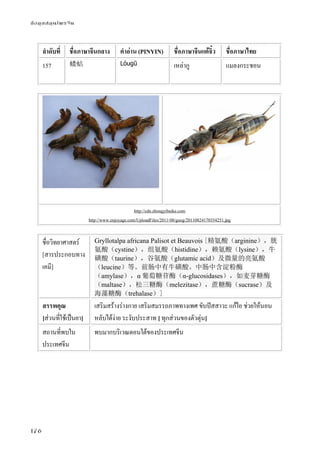 ข้อมูลสมุนไพรจีน
176
ลําดับที่ ชื่อภาษาจีนกลาง คําอ่าน (PINYIN) ชื่อภาษาจีนแต้จิ๋ว ชื่อภาษาไทย
157 蝼蛄 Lóugū เหล่ากู แมลงกระชอน
http://cdn.zhongyibaike.com
http://www.enjoyage.com/UploadFiles/2011-08/guog/20110824170354251.jpg
ชื่อวิทยาศาสตร์
[สารประกอบทาง
เคมี]
Gryllotalpa africana Palisot et Beauvois [精氨酸（arginine），胱
氨酸（cystine），组氨酸（histidine），赖氨酸（lysine），牛
磺酸（taurine），谷氨酸（glutamic acid）及微量的亮氨酸
（leucine）等。前肠中有牛磺酸。中肠中含淀粉酶
（amylase），α 葡萄糖苷酶（α-glucosidases），如麦芽糖酶
（maltase），松三糖酶（melezitase），蔗糖酶（sucrase）及
海藻糖酶（trehalase）]
สรรพคุณ
[ส่วนที่ใช้เป็นยา]
เสริมสร้างร่างกาย เสริมสมรรถภาพทางเพศ ขับปัสสาวะ แก้ไอ ช่วยให้นอน
หลับได้ง่าย ระงับประสาท [ ทุกส่วนของตัวตุ่น]
สถานที่พบใน
ประเทศจีน
พบมากบริเวณตอนใต้ของประเทศจีน
 