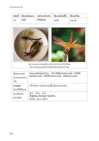ข้อมูลสมุนไพรจีน
178
ลําดับที่ ชื่อภาษาจีนกลาง คําอ่าน (PINYIN) ชื่อภาษาจีนแต้จิ๋ว ชื่อภาษาไทย
159 蜻蜓 Qīngtíng แชเท๊ง แมลงปอ
http://www.qyzyc.com/UploadFiles/2013-10/2/2013101521095545035.jpg
http://a0.att.hudong.com/21/82/01300000165488121069825153303.jpg
ชื่อวิทยาศาสตร์
[สารประกอบทาง
เคมี]
Anax parthenope Selys [肉豆蔻酸(myristic acid)，棕榈酸
(palmitic acid)，硬脂酸(stearic acid)，油酸(oleic acid)]
สรรพคุณ
[ส่วนที่ใช้เป็นยา]
แก้ไอ เจ็บคอ บํารุงไต บํารุงเชื้ออสุจิ [ ตัวแมลงปอ]
สถานที่พบใน
ประเทศจีน
浙江、四川、贵州
Zhèjiāng, Sìchuān, Guìzhōu
เจ้อเจียง เสฉวน กุ้ยโจว
 