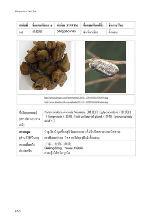 ข้อมูลสมุนไพรจีน
180
ลําดับที่ ชื่อภาษาจีนกลาง คําอ่าน (PINYIN) ชื่อภาษาจีนแต้จิ๋ว ชื่อภาษาไทย
161 桑螵蛸 Sāngpiāoshāo ซังเพียวเซียว ตั๊กแตน
http://upload.joingoo.com/opportunities/2010/11/2010111319285691.jpg
http://www.dianshu119.com/uploads/201311/13850076650eWuukht.jpg
ชื่อวิทยาศาสตร์
[สารประกอบทาง
เคมี]
Paratenodera sinensis Saussure [糖蛋白（glycoprotein）脂蛋白
（lipoprotein）胶腺（left colleterial gland）茶酸（procatechuic
acid）]
สรรพคุณ
[ส่วนที่ใช้เป็นยา]
บํารุงไต บํารุงเชื้ออสุจิ รักษาอาการหลั่งเร็ว ปัสสาวะบ่อย ปัสสาวะ
กะปริดกะปรอย ปัสสาวะไม่สุด [ฝักรังตั๊กแตน]
สถานที่พบใน
ประเทศจีน
广东、台湾、湖北
Guǎngdōng, Táiwān,Húběi
กวางตุ้ง ไต้หวัน หูเป่ย
 