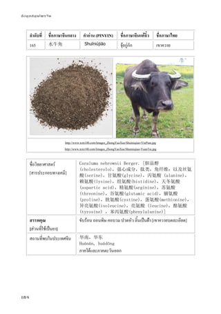 ข้อมูลสมุนไพรจีน
184
ลําดับที่ ชื่อภาษาจีนกลาง คําอ่าน (PINYIN) ชื่อภาษาจีนแต้จิ๋ว ชื่อภาษาไทย
165 水牛角 Shuǐniújiǎo จุ้ยกู่กัก เขาควาย
http://www.tcm100.com/Images_ZhongYaoXue/Shuiniujiao-YinPian.jpg
http://www.tcm100.com/Images_ZhongYaoXue/Shuiniujiao-YuanTai.jpg
ชื่อวิทยาศาสตร์
[สารประกอบทางเคมี]
Caraluma nebrownii Berger. [胆甾醇
(cholesterolo)，强心成分，肽类，角纤维；以及丝氨
酸(serine)，甘氨酸(glycine)，丙氨酸 (alanine)，
赖氨酸(lysine)，组氨酸(histidine)，天冬氨酸
(aspartic acid)，精氨酸(arginine)，苏氨酸
(threonine)，谷氨酸(glutamic acid)，脯氨酸
(proline)，胱氨酸(cystine)，蛋氨酸(methionine)，
异亮氨酸(isoleucine)，亮氨酸 (leucine)，酪氨酸
(tyrosine) ，苯丙氨酸(phenylalanine)]
สรรพคุณ
[ส่วนที่ใช้เป็นยา]
ขับร้อน ถอนพิษ คอบวม ปวดหัว ลิ้นเป็นฝ้า [เขาควายบดละเอียด]
สถานที่พบในประเทศจีน 华南，华东
Huánán, huádōng
ภาคใต้และภาคตะวันออก
 
