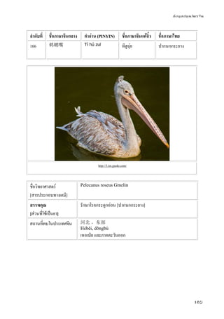 ข้อมูลสมุนไพรจีน
185
ลําดับที่ ชื่อภาษาจีนกลาง คําอ่าน (PINYIN) ชื่อภาษาจีนแต้จิ๋ว ชื่อภาษาไทย
166 鹈鹕嘴 Tí hú zuǐ ทีฮูฉุ่ย ปากนกกระยาง
http://3.im.guokr.com/
ชื่อวิทยาศาสตร์
[สารประกอบทางเคมี]
Pelecanus roseus Gmelin
สรรพคุณ
[ส่วนที่ใช้เป็นยา]
รักษาโรคกระดูกอ่อน [ปากนกกระยาง]
สถานที่พบในประเทศจีน 河北 ，东部
Héběi, dōngbù
เหอเป่ย และภาคตะวันออก
 
