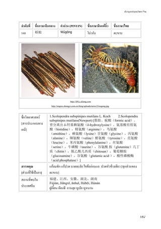 ข้อมูลสมุนไพรจีน
187
ลําดับที่ ชื่อภาษาจีนกลาง คําอ่าน (PINYIN) ชื่อภาษาจีนแต้จิ๋ว ชื่อภาษาไทย
168 蜈蚣 Wúgōng โบ่วกัง ตะขาบ
http://i04.c.aliimg.com
http://imgres.zhongyi.com.cn/ifeng/uploads/news/2/wugong.jpg
ชื่อวิทยาศาสตร์
[สารประกอบทาง
เคมี]
1.Scolopendra subspinipes mutilans L. Koch 2.Scolopendra
subspinipes mutilans(Newport) [脂肪、蚁酸（formic acid）。
曾分离出 δ-羟基赖氨酸（δ-hydroxylysine）。氨基酸有组氨
酸（histidine），精氨酸（arginine），鸟氨酸
（ornithine），赖氨酸（lysine）甘氨酸（glycine），丙氨酸
（alanine），缬氨酸（valine）酷氨酸 （tyrosine），亮氨酸
（leucine），苯丙氨酸（phenylalanine），丝氨酸
（serine），牛磺酸（taurine），谷氨酰 胺（glutamine）几丁
质（chitin），脱乙酰几西质（chitosan），葡萄糖胺
（glucosamine），谷氨酸（glutamic acid ），酸性磷酸酶
（acid phosphatase）]
สรรพคุณ
[ส่วนที่ใช้เป็นยา]
แก้ลมชัก แก้ปวด บาดทะยัก ไขข้ออ่อนแอ ปวดหัวข้างเดียว [ทุกส่วนของ
ตะขาบ]
สถานที่พบใน
ประเทศจีน
福建、江西、安徽、湖北、湖南
Fújiàn, Jiāngxī, ānhuī, Húběi, Húnán
ฝูเจี้ยน เจียงซี อานฮุย หูเป่ย หูหนาน
 