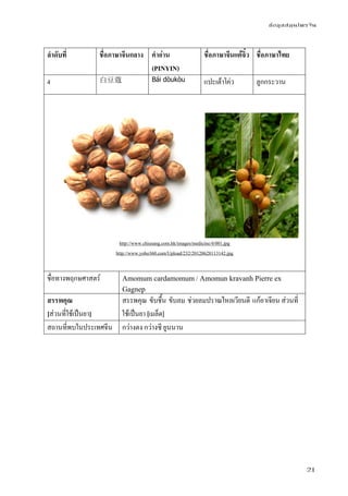 ข้อมูลสมุนไพรจีน
21
ลําดับที่ ชื่อภาษาจีนกลาง คําอ่าน
(PINYIN)
ชื่อภาษาจีนแต้จิ๋ว ชื่อภาษาไทย
4 白豆蔻 Bái dòukòu แปะเต้าโค่ว ลูกกระวาน
http://www.chiusang.com.hk/images/medicine/4/001.jpg
http://www.yobo360.com/Upload/232/20120628113142.jpg
ชื่อทางพฤกษศาสตร์ Amomum cardamomum / Amomun kravanh Pierre ex
Gagnep
สรรพคุณ
[ส่วนที่ใช้เป็นยา]
สรรพคุณ ขับชื้น ขับลม ช่วยลมปราณไหลเวียนดี แก้อาเจียน ส่วนที่
ใช้เป็นยา [เมล็ด]
สถานที่พบในประเทศจีน กว่างตง กว่างซี ยูนนาน
 