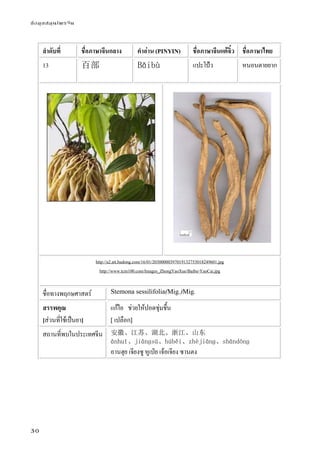ข้อมูลสมุนไพรจีน
30
ลําดับที่ ชื่อภาษาจีนกลาง คําอ่าน (PINYIN) ชื่อภาษาจีนแต้จิ๋ว ชื่อภาษาไทย
13 百部 Bǎibù แปะโป้ว หนอนตายยาก
http://a2.att.hudong.com/16/01/20300000397019132753018249601.jpg
http://www.tcm100.com/Images_ZhongYaoXue/Baibu-YaoCai.jpg
ชื่อทางพฤกษศาสตร์ Stemona sessilifolia(Mig.)Mig.
สรรพคุณ
[ส่วนที่ใช้เป็นยา]
แก้ไอ ช่วยให้ปอดชุ่มชื้น
[ เปลือก]
สถานที่พบในประเทศจีน 安徽、江苏、湖北、浙江、山东
ānhuī、jiānɡsū、húběi、zhèjiānɡ、shāndōnɡ
อานฮุย เจียงซู หูเป่ย เจ้อเจียง ซานตง
 