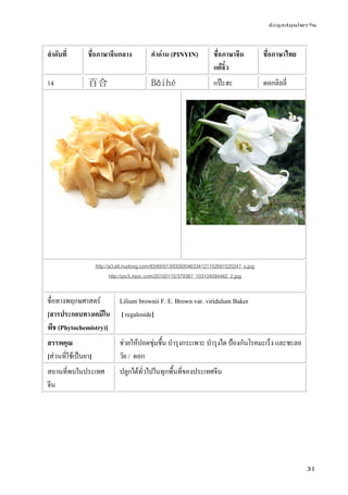 ข้อมูลสมุนไพรจีน
31
ลําดับที่ ชื่อภาษาจีนกลาง คําอ่าน (PINYIN) ชื่อภาษาจีน
แต้จิ๋ว
ชื่อภาษาไทย
14 百合 Bǎihé แป๊ะฮะ ดอกลิลลี่
http://a3.att.hudong.com/83/69/01300000046334121152691520247_s.jpg
http://pic5.nipic.com/20100115/379387_103104094462_2.jpg
ชื่อทางพฤกษศาสตร์
[สารประกอบทางเคมีใน
พืช (Phytochemistry)]
Lilium brownii F. E. Brown var. viridulum Baker
[ regaloside]
สรรพคุณ
[ส่วนที่ใช้เป็นยา]
ช่วยให้ปอดชุ่มชื้น บํารุงกระเพาะ บํารุงไต ป้องกันโรคมะเร็ง และชะลอ
วัย / ดอก
สถานที่พบในประเทศ
จีน
ปลูกได้ทั่วไปในทุกพื้นที่ของประเทศจีน
 