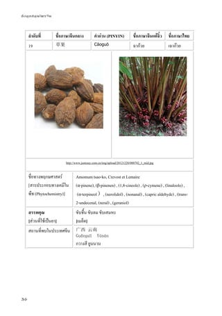 ข้อมูลสมุนไพรจีน
36
ลําดับที่ ชื่อภาษาจีนกลาง คําอ่าน (PINYIN) ชื่อภาษาจีนแต้จิ๋ว ชื่อภาษาไทย
19 草果 Cǎoguǒ ฉาก้วย เฉาก๊วย
http://www.justeasy.com.cn/img/upload/20121220/000742_1_mid.jpg
ชื่อทางพฤกษศาสตร์
[สารประกอบทางเคมีใน
พืช (Phytochemistry)]
Amomum tsao-ko, Crevost et Lemaire
(α-pinene), (β-pinenen) , (1,8-cineole) , (ρ-cymene) , (linaloolo) ,
(α-terpineol）, (nerolidol) , (nonanal) , (capric aldehyde) , (trans-
2-undecenal, (neral) , (geraniol)
สรรพคุณ
[ส่วนที่ใช้เป็นยา]
ขับชื้น ขับลม ขับเสมหะ
[เมล็ด]
สถานที่พบในประเทศจีน 广西 云南
Guǎnɡปī Yúnán
กวางสี ยูนนาน
 
