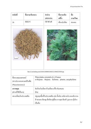 ข้อมูลสมุนไพรจีน
37
ลําดับที่ ชื่อภาษาจีนกลาง คําอ่าน
(PINYIN)
ชื่อภาษาจีน
แต้จิ๋ว
ชื่อ
ภาษาไทย
20 侧柏叶 Cè bó yè เช็กแปะเฮียะ สนแผง
http://a1.att.hudong.com/36/68/01300000164020121388682534958.jpg
ชื่อทางพฤกษศาสตร์
[สารประกอบทางเคมีในพืช
(Phytochemistry)]
Platycladus orientalis (L.) Franco
α-thujone，thujene，fechone，pinene, caryphyllene
สรรพคุณ
[ส่วนที่ใช้เป็นยา]
ดับร้อนในเลือด ห้ามเลือด แก้ไอ ขับเสมหะ
[ใบ]
สถานที่พบในประเทศจีน ปลูกทุกพื้นที่ในประเทศจีน เช่น จี๋หลิน เหลียวหนิง เหอเป่ย ซาน
สี ซานตง เจียงซู เจ้อเจียง ฝูเจี้ยน อานฮุย เจียงซี ยูนนาน กุ้ยโจว
เป็นต้น
 