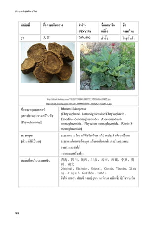 ข้อมูลสมุนไพรจีน
44
ลําดับที่ ชื่อภาษาจีนกลาง คําอ่าน
(PINYIN)
ชื่อภาษาจีน
แต้จิ๋ว
ชื่อ
ภาษาไทย
27 大黄 Dàhuáng ตั่วอึ๊ง โกฐน้ําเต้า
http://a0.att.hudong.com/55/48/19300001349932132996486633407.jpg
http://a0.att.hudong.com/70/82/01300000016998120632824762280_s.jpg
ชื่อทางพฤกษศาสตร์
[สารประกอบทางเคมีในพืช
(Phytochemistry)]
Rheum likiangense
[Chrysophanol-1-monoglucoside/Chrysophaein、
Emodin- -6-monoglucoside、Aloe-emodin-8-
monoglucoside、Physcion monoglucoside、Rhein-8-
monoglucoside]
สรรพคุณ
[ส่วนที่ใช้เป็นยา]
ระบายความร้อน แก้พิษในเลือด แก้ปวดประจําเดือน เป็นยา
ระบาย แก้อาการท้องผูก แก้ของเสียตกค้างภายในกระเพาะ
อาหารและลําไส้
[รากและเหง้าแห้ง]
สถานที่พบในประเทศจีน 青海、四川、陕西、甘肃、云南、西藏、宁夏、贵
州、湖北
Qīnɡhǎi、Sìchuān、Shǎnxī、Gānsù、Yúnnán、Xīzà
nɡ、Nínɡxià、Guìzhōu、Húběi
ชิงไห่ เสฉวน ส่านซี กานซู่ ยูนนาน ทิเบต หนิงเซี่ย กุ้ยโจว หูเป่ย
 