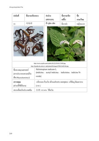 ข้อมูลสมุนไพรจีน
50
ลําดับที่ ชื่อภาษาจีนกลาง คําอ่าน
(PINYIN)
ชื่อภาษาจีน
แต้จิ๋ว
ชื่อ
ภาษาไทย
33 耳钩草 Ěr gōu cǎo ฮี่เกาเช่า หญ้าฉมวก
http://www.zcypfw.com/Upfile/20122159101173499.jpg
http://ftp.ptjh.chc.edu.tw/~ptjh/plants94/images/970812/all5186.jpg
ชื่อทางพฤกษศาสตร์
[สารประกอบทางเคมีใน
พืช (Phytochemistry)]
Heliotropium indicum L.
[indicine， acetyl indicine， indicinine，indicine N-
oxide]
สรรพคุณ
[ส่วนที่ใช้เป็นยา]
แก้ตาแดง ร้อนใน เต้านมอักเสบ แผลพุพอง แก้พิษงู พิษตะขาบ
[ราก ]
สถานที่พบในประเทศจีน 台湾 táiwān ไต้หวัน
 