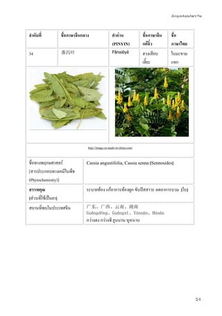 ข้อมูลสมุนไพรจีน
51
ลําดับที่ ชื่อภาษาจีนกลาง คําอ่าน
(PINYIN)
ชื่อภาษาจีน
แต้จิ๋ว
ชื่อ
ภาษาไทย
34 番泻叶 Fānxièyè ฮวงเสียบ
เฮี๊ยะ
ใบมะขาม
แขก
http://image.cn.made-in-china.com/
ชื่อทางพฤกษศาสตร์
[สารประกอบทางเคมีในพืช
(Phytochemistry)]
Cassia angustifolia, Cassia senna [Sennosides]
สรรพคุณ
[ส่วนที่ใช้เป็นยา]
ระบายท้อง แก้อาการท้องผูก ขับปัสสาวะ ลดอาการบวม [ใบ]
สถานที่พบในประเทศจีน 广东、广西、云南、湖南
Guǎnɡdōnɡ、Guǎnɡxī、Yúnnán、Húnán
กว่างตง กว่างซี ยูนนาน หูหนาน
 