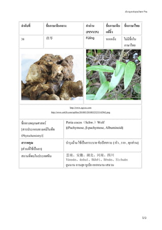 ข้อมูลสมุนไพรจีน
55
ลําดับที่ ชื่อภาษาจีนกลาง คําอ่าน
(PINYIN)
ชื่อภาษาจีน
แต้จิ๋ว
ชื่อภาษาไทย
38 茯苓 Fúlíng หกเหล็ง ไม่มีชื่อใน
ภาษาไทย
http://www.zgycsc.com
http://www.cn626.com/upfiles/201003/20100325233142962.png
ชื่อทางพฤกษศาสตร์
[สารประกอบทางเคมีในพืช
(Phytochemistry)]
Poria cocos（Schw.）Wolf
[(Pachymose, β-pachymose, Albuminoid]
สรรพคุณ
[ส่วนที่ใช้เป็นยา]
บํารุงม้าม ใช้เป็นยาระบาย ขับปัสสาวะ [ หัว , ราก , ทุกส่วน]
สถานที่พบในประเทศจีน 雲南、安徽、湖北、河南、四川
Yúnnán、ānhuī、Húběi、Hénán、Sìchuān
ยูนนาน อานฮุย หูเป่ย เหอหนาน เสฉวน
 