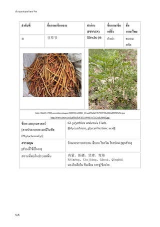 ข้อมูลสมุนไพรจีน
58
ลําดับที่ ชื่อภาษาจีนกลาง คําอ่าน
(PINYIN)
ชื่อภาษาจีน
แต้จิ๋ว
ชื่อ
ภาษาไทย
41 甘草节 Gāncǎo jié กําเฉ่า ชะเอม
สกัด
http://file03.17888.com/showimages/3000721/c0002_13/eed59a0e37b79b97f8c8884d50907c52.jpg
http://www.cntcw.cn/UpFile/Fck/d331084fc187332fafc3ab83.jpg
ชื่อทางพฤกษศาสตร์
[สารประกอบทางเคมีในพืช
(Phytochemistry)]
GLycyrrhiza uralensis Fisch．
[Glycyrrhizin, glycyrrhertinic acid]
สรรพคุณ
[ส่วนที่ใช้เป็นยา]
รักษาอาการคอบวม เจ็บคอ โรควัณ โรคปอด [ทุกส่วน]
สถานที่พบในประเทศจีน 内蒙、新疆、甘肃、青海
Nèiměnɡ、Xīnjiānɡ、Gānsù、Qīnɡhǎi
มองโกเลียใน ซินเจียง การซู่ ชิงห่าย
 