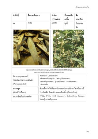 ข้อมูลสมุนไพรจีน
61
ลําดับที่ ชื่อภาษาจีนกลาง คําอ่าน
(PINYIN)
ชื่อภาษาจีน
แต้จิ๋ว
ชื่อ
ภาษาไทย
44 桂枝 Guìzhī กุยกี้ กิ่งอบเชย
จีน
http://www.54md.com/DrugStore/pic/gpic_1fc6bae7f9655a106d1351f78f0efd3e.jpg
http://www.zcyzcy.com/pic/20120820160602437.jpg
ชื่อทางพฤกษศาสตร์
[สารประกอบทางเคมีในพืช
(Phytochemistry)]
Ramulus Cinnamomi
[cinnamaldehyde， benzylbenzoate，
cinnamylacetate，β-cadinene，calamenene，
coumarin]
สรรพคุณ
[ส่วนที่ใช้เป็นยา]
ขับเหงื่อ ช่วยให้เส้นลมปราณอบอุ่น กระตุ้นการไหลเวียน แก้
โรคปวดข้อ ปวดหลัง คลายกล้ามเนื้อ [กิ่งและก้าน]
สถานที่พบในประเทศจีน 广西，广东，云南 Guǎnɡxī，Guǎnɡdōnɡ，Yúnnán
กวางตุ้ง กวางสี ยูนนาน
 