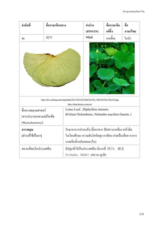 ข้อมูลสมุนไพรจีน
63
ลําดับที่ ชื่อภาษาจีนกลาง คําอ่าน
(PINYIN)
ชื่อภาษาจีน
แต้จิ๋ว
ชื่อ
ภาษาไทย
46 荷叶 Héyè หอเฮี๊ยะ ใบบัว
http://i01.c.aliimg.com/img/ibank/2013/947/633/844336749_1485536784.310x310.jpg
http://shop.kmzyw.com.cn/
ชื่อทางพฤกษศาสตร์
[สารประกอบทางเคมีในพืช
(Phytochemistry)]
Lotus Leaf. ,Diphylleia sinensis
[Folium Nelumbinis, Nelumbo nucifera Gaertn. ]
สรรพคุณ
[ส่วนที่ใช้เป็นยา]
รักษาอาการปากแห้ง เบื่ออาหาร ปัสสาวะเหลือง หน้ามืด
วิงเวียนศีรษะ ความดันโลหิตสูง อาเจียน ถ่ายเป็นเลือด อาการ
บาดเจ็บช้ําหลังคลอด [ใบ]
สถานที่พบในประเทศจีน มีปลูกทั่วไปในประเทศจีน มีมากที่ 四川，湖北
Sìchuān，Húběi เสฉวน หูเป่ย
 