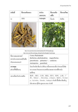 ข้อมูลสมุนไพรจีน
69
ลําดับที่ ชื่อภาษาจีนกลาง คําอ่าน
(PINYIN)
ชื่อภาษาจีน
แต้จิ๋ว
ชื่อภาษาไทย
52 黄柏 Huángbò อึ่งแปะ ต้นปีบ
http://www.pewiki.net/wp-content/uploads/2013/05/huangbai.jpg
http://www.tcm100.com/Images_ZhongYaoXue/Huangbo-YuanTai.jpg
ชื่อทางพฤกษศาสตร์
[สารประกอบทางเคมีในพืช
(Phytochemistry)]
Cortex Phellodendri
[berberine, phellodendrine， magnoflorine，
jatrorrhizine， palmatine），candicine，
menisperine， guanidine]
สรรพคุณ
[ส่วนที่ใช้เป็นยา]
รักษาโรคบิด ท้องร่วง ดีซ่าน เหงื่อออกกลางคืน ปากและลิ้นซีด
ขาว ตาแดง รักษาอาการบาดเจ็บบาดแผล กลากที่ผิวหนัง
[เปลือก]
สถานที่พบในประเทศจีน 陕西 、浙江、江西、湖北、四川、贵州、云南、广
西 。Shǎnxī 、Zhèjiānɡ、Jiānɡxī、Húběi、Sìchuā
n、Guìzhōu、Yúnnán、Guǎnɡxī ส่านซี เจื้อเจียง เจียงซี หู
เป่ย เสฉวน กุ้ยโจว ยูนนาน และ กว่างซี
 