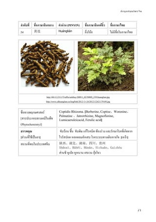 ข้อมูลสมุนไพรจีน
71
ลําดับที่ ชื่อภาษาจีนกลาง คําอ่าน (PINYIN) ชื่อภาษาจีนแต้จิ๋ว ชื่อภาษาไทย
54 黄连 Huánglián อึ่งโน้ย ไม่มีชื่อในภาษาไทย
http://60.12.233.173/affix/salebuy/2009/1_02/50889_3391huanglian.jpg
http://www.cdhuanglian.cn/ImgPath/2012-11-24/2012112421179109.jpg
ชื่อทางพฤกษศาสตร์
[สารประกอบทางเคมีในพืช
(Phytochemistry)]
Coptidis Rhizoma. [Berberine, Coptise、Worenine、
Palmatine 、Jatrorrhizine, Magnoflorine,
Lumicaeruleicacid, Ferulic acid]
สรรพคุณ
[ส่วนที่ใช้เป็นยา]
ขับร้อน ชื้น ขับพิษ แก้โรคบิด ท้องร่วง และรักษาโรคที่เกิดจาก
ไวรัสปอด หลอดลมอักเสบ โรคระบบทางเดินหายใจ [เหง้า]
สถานที่พบในประเทศจีน 陕西、湖北、湖南、四川、贵州
Shǎnxī、Húběi、Húnán、Sìchuān、Guìzhōu
ส่านซี หูเป่ย หูหนาน เสฉวน กุ้ยโจว
 