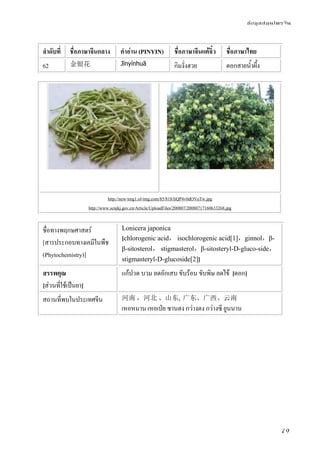 ข้อมูลสมุนไพรจีน
79
ลําดับที่ ชื่อภาษาจีนกลาง คําอ่าน (PINYIN) ชื่อภาษาจีนแต้จิ๋ว ชื่อภาษาไทย
62 金银花 Jīnyínhuā กิมงั่งฮวย ดอกสายน้ําผึ้ง
http://new-img1.ol-img.com/85/818/liQP4v0dOVuTw.jpg
http://www.scnjkj.gov.cn/Article/UploadFiles/200807/20080717160633268.jpg
ชื่อทางพฤกษศาสตร์
[สารประกอบทางเคมีในพืช
(Phytochemistry)]
Lonicera japonica
[chlorogenic acid， isochlorogenic acid[1]，ginnol，β-
β-sitosterol， stigmasterol，β-sitosteryl-D-gluco-side，
stigmasteryl-D-glucoside[2]]
สรรพคุณ
[ส่วนที่ใช้เป็นยา]
แก้ปวด บวม ลดอักเสบ ขับร้อน ขับพิษ ลดไข้ [ดอก]
สถานที่พบในประเทศจีน 河南 ，河北 、山东, 广东、广西、云南
เหอหนาน เหอเป่ย ซานตง กว่างตง กว่างซี ยูนนาน
 