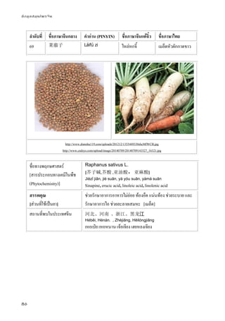ข้อมูลสมุนไพรจีน
86
ลําดับที่ ชื่อภาษาจีนกลาง คําอ่าน (PINYIN) ชื่อภาษาจีนแต้จิ๋ว ชื่อภาษาไทย
69 莱菔子 Láifú zi ไหล่หกจี้ เมล็ดหัวผักกาดขาว
http://www.dianshu119.com/uploads/201212/1355449330shcMfWCB.jpg
http://www.cndzys.com/upload/image/20140709/20140709143527_16321.jpg
ชื่อทางพฤกษศาสตร์
[สารประกอบทางเคมีในพืช
(Phytochemistry)]
Raphanus sativus L.
[芥子碱,芥酸 ,亚油酸，亚麻酸]
Jièzǐ jiǎn, jiè suān, yà yóu suān, yàmá suān
Sinapine, erucic acid, linoleic acid, linolenic acid
สรรพคุณ
[ส่วนที่ใช้เป็นยา]
ช่วยรักษาอาการอาหารไม่ย่อย ท้องอืด แน่นท้อง ช่วยระบาย และ
รักษาอาการไอ ช่วยละลายเสมหะ [เมล็ด]
สถานที่พบในประเทศจีน 河北、河南 、浙江、黑龙江
Héběi, Hénán. , Zhèjiāng, Hēilóngjiāng
เหอเป่ย เหอหนาน เจ้อเจียง เฮยหลงเจียง
 