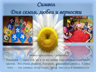 Символ
Дня семьи, любви и верности
Символ праздника – ромашка .
Ромашка — простой, но в то же время удивительно красивый
цветок. Это очень родной, близкий, домашний символ. Кроме
того — это символ лета, тепла, уюта, чистоты и невинности
 