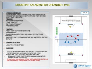Ασκ. 1
Εθνική Ομάδα
 ΦΥΣΙΚΗ ΚΑΤΑΣΤΑΣΗ
(ΚΑΘΟΡΙΖΕΤΑΙ ΑΠΟ ΤΟ ΧΡΟΝΟ, ΤΗΝ ΑΠΟΣΤΑΣΗ ΚΑΙ ΤΟΝ
ΑΡΙΘΜΟ ΤΩΝ ΠΑΙΚΤΩΝ ΚΑΙ ΟΛΑ ΑΥΤΑ ΑΠΟ ΤΟ ΤΙ ΖΗΤΑΜΕ
ΑΠΟ ΤΗ ΣΥΓΚ.ΑΣΚΗΣΗ)
 ΤΕΧΝΙΚΗ
• ΤΟΠΟΘΕΤΗΣΗ ΣΩΜΑΤΟΣ
• ΓΩΝΙΑ ΣΩΜΑΤΟΣ
• ΟΔΗΓΗΜΑ ΑΝΤΙΠΑΛΟΥ
• ΠΑΣΑ ΔΙΕΙΣΔΥΣΗΣ
 ΤΑΚΤΙΚΗ
• ΠΙΕΣΗ ΣΤΟΝ ΚΑΤΟΧΟ ΤΗΣ ΜΠΑΛΑΣ
• ΜΕΤΑΚΙΝΗΣΕΙΣ
• ΕΚΜΑΘΗΣΗ ΚΑΙ ΒΕΛΤΙΩΣΗ ΤΗΣ ΖΩΝΗΣ ΠΡΕΣΙΝΓΚ (ΜΙΑ
ΓΡΑΜΜΗ)
• ΔΙΑΓΩΝΙΕΣ ΚΑΛΥΨΕΙΣ ΑΦΗΝΟΝΤΑΣ ΤΗΝ ΑΝΤΙΘΕΤΗ ΠΛΕΥΡΑ
• ΕΝΑ-ΔΥΟ
 ΣΗΜΕΙΑ ΠΡΟΣΟΧΗΣ
• ΑΠΟΛΥΤΗ ΣΥΓΚΕΝΤΡΩΣΗ
 ΚΑΝΟΝΕΣ
• ΣΥΡΤΗ ΠΑΣΑ ΣΤΗΝ ΠΛΑΤΗ ΤΗΣ ΑΜΥΝΑΣ ΣΤΗ ΛΕΥΚΗ ΖΩΝΗ
• ΤΟ ΠΕΡΑΣΜΑ ΤΩΝ ΚΑΤΟΧΩΝ ΤΗΣ ΜΠΑΛΑΣ ΣΤΗΝ
ΕΠΙΘΕΤΙΚΗ ΤΟΥΣ ΛΕΥΚΗ ΖΩΝΗ ΧΩΡΙΣ ΑΝΤΙΠΑΛΟ
• ΣΕ ΔΙΑΦΟΡΕΤΙΚΟΥΣ ΧΩΡΟΥΣ ΤΟ ΠΑΙΧΝΙΔΙ (ΑΜΥΝΤΙΚΟ,
ΜΕΣΑΙΟ, ΕΠΙΘΕΤΙΚΟ ΤΡΙΤΟ)
• ΟΙ ΚΑΤΟΧΟΙ ΤΗΣ ΜΠΑΛΑΣ ΣΕ 6-8 ΜΕΤΑΒΙΒΑΣΕΙΣ ΠΡΕΠΕΙ ΝΑ
ΕΧΟΥΝ ΠΕΡΑΣΕΙ ΤΗΝ ΜΠΑΛΑ ΣΤΗ ΛΕΥΚΗ ΖΩΝΗ.
 