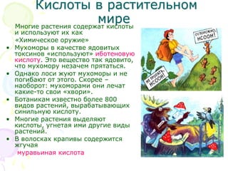 Кислоты в растительном
миреМногие растения содержат кислоты
и используют их как
«Химическое оружие»
• Мухоморы в качестве ядовитых
токсинов «используют» иботеновую
кислоту. Это вещество так ядовито,
что мухомору незачем прятаться.
• Однако лоси жуют мухоморы и не
погибают от этого. Скорее –
наоборот: мухоморами они лечат
какие-то свои «хвори».
• Ботаникам известно более 800
видов растений, вырабатывающих
синильную кислоту.
• Многие растения выделяют
кислоты, угнетая ими другие виды
растений.
• В волосках крапивы содержится
жгучая
муравьиная кислота
 