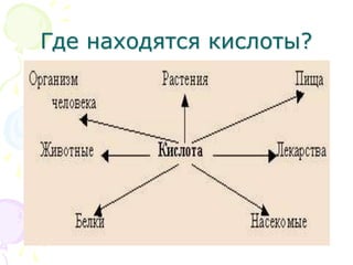 Где находятся кислоты?
 