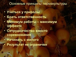 Основные принципы пермакультуры
• Учиться у природы
• Брать ответственность
• Минимум работы – максимум
эффекта
• Сотрудничество вместо
соревнования
• Начинать с малого
• Результат не ограничен
 