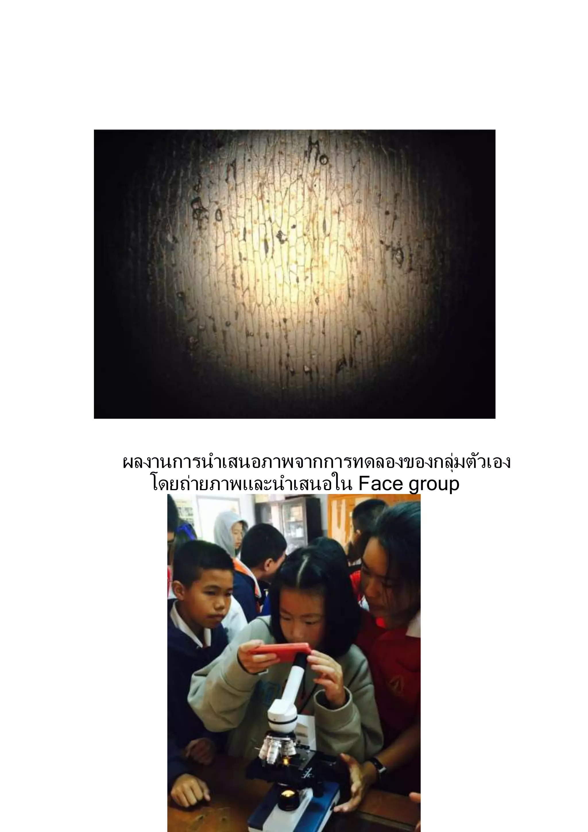 ผลงานการนาเสนอภาพจากการทดลองของกลุ่มตัวเอง
โดยถ่ายภาพและนาเสนอใน Face group
 