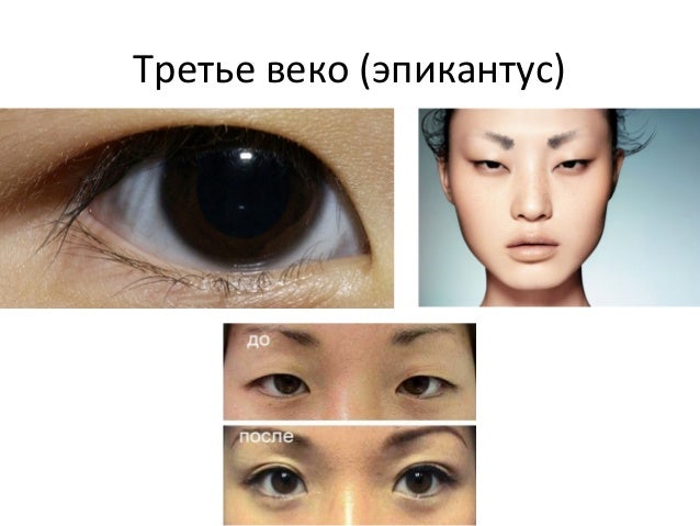 Функция 3 века