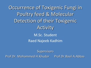 Occurrence of Toxigenic Fungi inOccurrence of Toxigenic Fungi in
Poultry feed & MolecularPoultry feed & Molecular
Detection of their ToxigenicDetection of their Toxigenic
ActivityActivity
M.Sc. Student
Raed Najeeb Kadhim
SupervisorsSupervisors
Prof.Dr. Mohammed H.Khudor Prof.Dr.Basil A.AbbasProf.Dr. Mohammed H.Khudor Prof.Dr.Basil A.Abbas
 