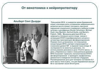Повышение ИЛ-6 в сыворотке крови беременной
играет ключевую роль в изменении эмбрионального
развития мозга и может послужить причиной
нарушений социального поведения у ребенка в виде
аутизма и шизофрении (Gunter Schumann, Michael
Huell, Uwe Machein, Gertrud Hocke, and Bernd L.
Fiebich ,1999). Механизм действия ИЛ-6 на
нейроциты головного мозга плода связан с
активацией STAT3 (преобразователя сигнала и
активатора транскрипции) фосфорилирования.
Помимо этого установлено, что повышение
концентрации ИЛ-6 у матери сопровождается
снижением уровня IGF в нервной ткани плода. В
эксперименте на животных доказано, что
использование диосмина в дозе 10 мг/кг массы в
день у беременных самок с повышенным уровнем
ИЛ-6 позволяет тормозить патологическое STAT3
фосфорилирование и проводить профилактику
девиантного поведения потомства в будущем.
Рекомендованная доза для человека составляет 8,1
мг/кг массы тела в день, что для беременной массой
60 кг составляет около 50 мг/сутки.
От венотоника к нейропротектору
Альберт Сент Дьерди
 