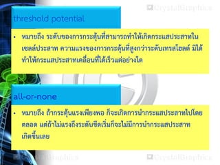 threshold potential
• หมายถึง ระดับของการกระตุ้นที่สามารถทาให้เกิดกระแสประสาทใน
เซลล์ประสาท ความแรงของการกระตุ้นที่สูงกว่าระดับเทรสโฮลต์ มิได้
ทาให้กระแสประสาทเคลื่อนที่ได้เร็วแต่อย่างใด
all-or-none
• หมายถึง ถ้ากระตุ้นแรงเพียงพอ ก็จะเกิดการนากระแสประสาทไปโดย
ตลอด แต่ถ้าไม่แรงถึงระดับขีดเริ่มก็จะไม่มีการนากระแสประสาท
เกิดขึ้นเลย
 